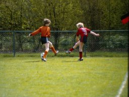 0DIA 1985 RAVA PUPS 1